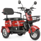 Электротрицикл Rutrike Бумеранг NEW